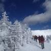 2月14日雪山基礎編が北横岳にて開催されました