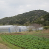 宮本城（千葉県南房総市）