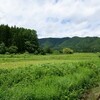 【南東北】深緑の大内宿・湯野上温泉郷、会津・鶴ヶ城から猪苗代のカワセミ水族館