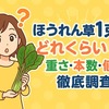 ほうれん草1束ってどれくらい？重さ・本数・値段を徹底調査