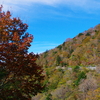 2019紅葉の剣山