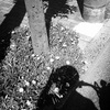 2011年　夏の光の終わり