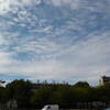 【極う。の空】夏の日・・・「今朝のPARIS」③
