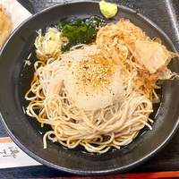 そばの陣（西新井）冷しおろしそば＋ゲソ玉ねぎ天