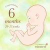 妊娠6ヶ月突入　糖質制限の日々