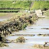  時代劇ロケ地「流れ橋」が流失、損壊は２０回目（YOMIURI ONLINE）