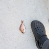 船で五目釣り→タチウオ狙い