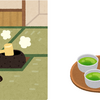 茶月