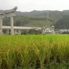  貴船神社