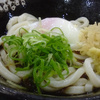 温玉ぶっかけうどん