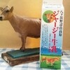 GWに、道の駅に行ってきたけど、何かが違う気がした