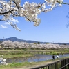 4/7 鴨川と植物園