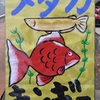 メダカ、金魚入荷しました！