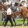 なかなかの好メンバー、だからこそ結果を出したい！