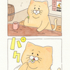 ネコノヒー「豆」