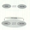 行為によって機構が産出される