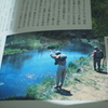 忍野でフライフィッシングをしたくない。