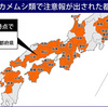 カメムシよりホタルを見ていたい無職