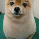 さばのぬいぐるみの魅せる日記