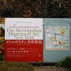 メトロポリタン美術館展（新国立美術館）