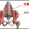 足の付け根の痛みは〇〇筋！