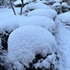 雪とタイヤの一日