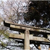 式内大社・天照大神高座神社写真館（６/７）