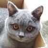 それぞれの顔の変化。。。