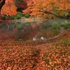 『秋の色』 京都新聞写真コンテスト
