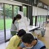 自由活動で研修旅行の説明会　ツユクサ　タマスダレ
