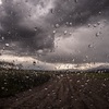 梅雨空の下、ワイドハイター粉末を試す