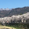 ４月が終わるその前に〜桜に始まり、中華に終わる？