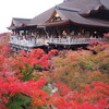 混雑を避けて清水寺の紅葉を満喫｜2024年見頃の時期、早朝拝観、夜間特別拝観・ライトアップ情報、拝観料、時間、アクセス、穴場、画像（京都府京都市東山区）