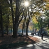 🍂上野公園の紅葉