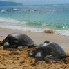 初めての体験ふたつと身に沁みた"油断大敵"・・・☆