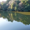 布土小池（愛知県美浜）