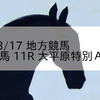 2024/3/17 地方競馬 帯広競馬 11R 大平原特別Ａ１－１
