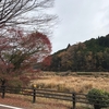 美しき県庁所在地・津　森林編