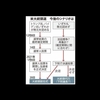 大統領選挙の決着が下院に持ち込まれる前に・・