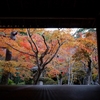圓光寺ー京都紅葉（洛北)