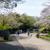 日本平