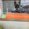 ニャンコたち