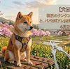 4月29日　祝日のクンクン任務　切れ味抜群の爪切り「斬」でストレスフリーなお手入れ
