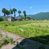 連日草刈りです！