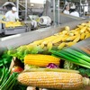 The corona effect on Food Processing Industry