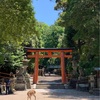 春日大社〜東大寺へ