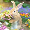 元気が出る話「花畑の秘密、ウサギの贈り物」