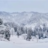 春の雨降れ降れそして雪になれ(あ)