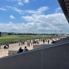 東京競馬場1年以上ぶりにコロナ禍で入場！