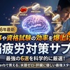 【2026年最新】仕事や資格試験の効率を爆上げする「脳疲労対策サプリ」6選！